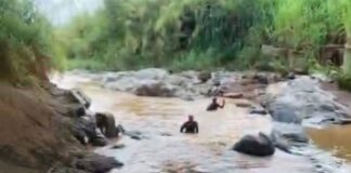 corpo-de-adolescente-de-15-anos-e-encontrado-em-corrego