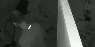 ladrao-“homem-aranha”-escala-seis-andares-e-invade-apartamento-em-sp