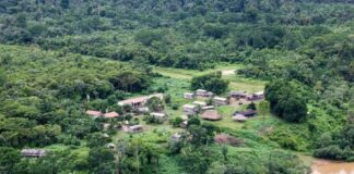 emboscada-durante-desintrusao-em-terra-indigena-deixa-1-morto-no-para