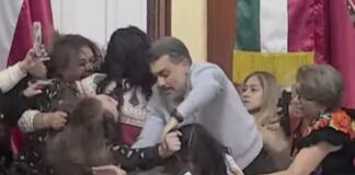 mexico:-com-socos-e-puxoes-de-cabelo,-deputadas-brigam-no-congresso