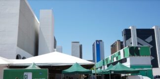 atendimento-juridico-e-social:-defensoria-leva-servicos-a-esplanada