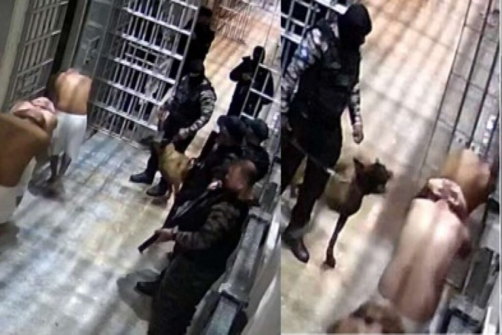 caes-e-spray-de-pimenta:-imagens-revelam-rotina-de-tortura-em-presidio