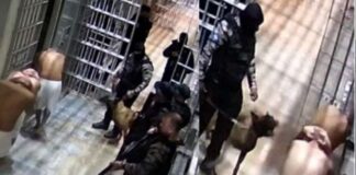 caes-e-spray-de-pimenta:-imagens-revelam-rotina-de-tortura-em-presidio