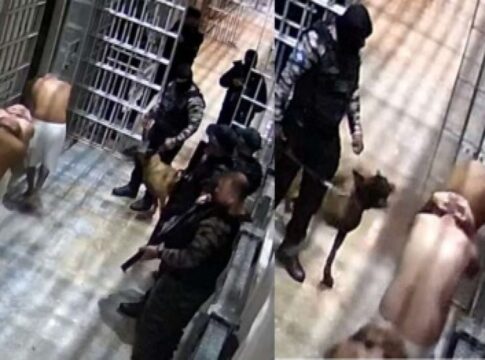 caes-e-spray-de-pimenta:-imagens-revelam-rotina-de-tortura-em-presidio