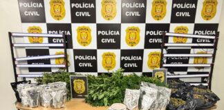 casal-e-preso-por-cultivar-maconha-e-divulgar-nas-redes-sociais