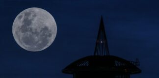 lua-nova-impactara-todos-os-signos-e-fara-“faxina-emocional”;-entenda