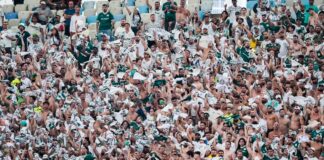 intercontinental:-torcedores-do-palmeiras-comemoram-vice-do-flamengo