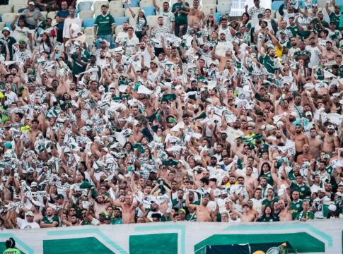 intercontinental:-torcedores-do-palmeiras-comemoram-vice-do-flamengo