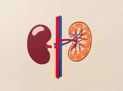 medica-explica-como-o-alcool-pode-prejudicar-os-rins-no-fim-de-ano