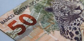 fundacoes-sem-fins-lucrativos-pagam-salarios-maiores-que-empresas