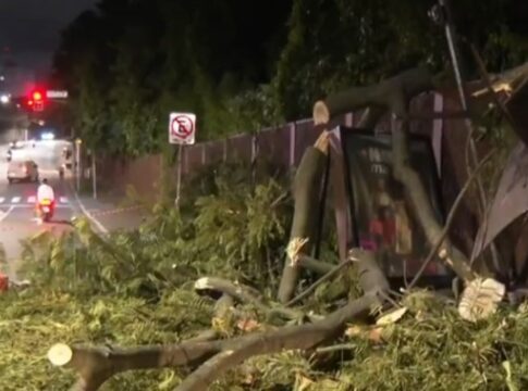 prefeitura-investiga-morte-de-funcionario-que-cortava-arvore-em-sp