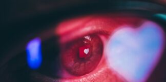 regular-redes-sob-governo-de-ideologia-unica-e-um-risco-a-democracia