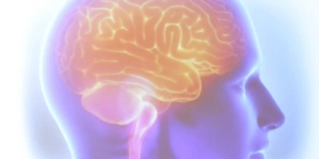 projeto-artemis-avalia-genetica-de-pacientes-que-sofreram-avc