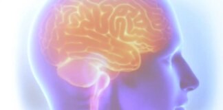 projeto-artemis-avalia-genetica-de-pacientes-que-sofreram-avc