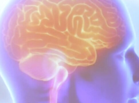 projeto-artemis-avalia-genetica-de-pacientes-que-sofreram-avc