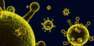 gripe-k:-entenda-riscos-para-o-brasil-e-se-virus-pode-virar-pandemia