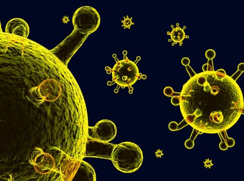 gripe-k:-entenda-riscos-para-o-brasil-e-se-virus-pode-virar-pandemia