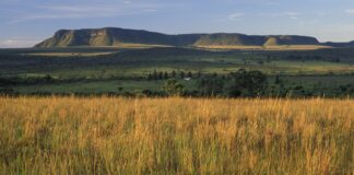 goias-acusa-tocantins-de-ocupar-area-da-chapada-dos-veadeiros-e-aciona-stf