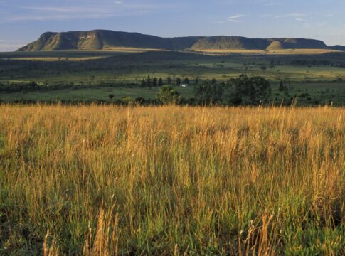 goias-acusa-tocantins-de-ocupar-area-da-chapada-dos-veadeiros-e-aciona-stf