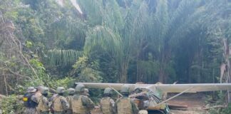 brasil-intercepta-aviao-da-venezuela-em-terra-yanomami;-piloto-foge