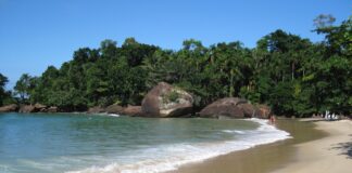 verao-chegando:-veja-quais-praias-estao-improprias-para-banho-em-sp