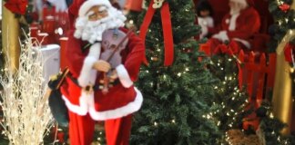 hoje-e-dia:-natal,-ecologia-e-cristina-buarque-sao-destaques