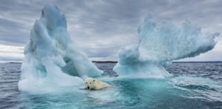 termometros-do-artico-registram-seu-ano-mais-quente-desde-1900