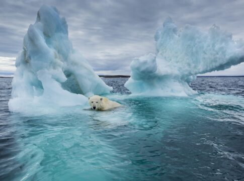 termometros-do-artico-registram-seu-ano-mais-quente-desde-1900