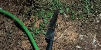 adolescente-de-16-anos-mata-o-padrasto-apos-ver-a-mae-sendo-agredida