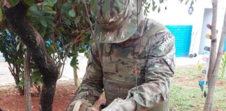 cobra-e-resgatada-nas-dependencias-da-upa-de-planaltina