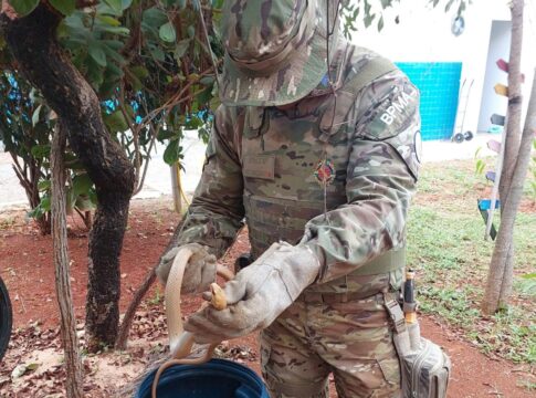 cobra-e-resgatada-nas-dependencias-da-upa-de-planaltina