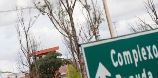 “ice”-avaliada-em-r$-60-mil-e-achada-em-saco-de-farofa-com-preso-no-df