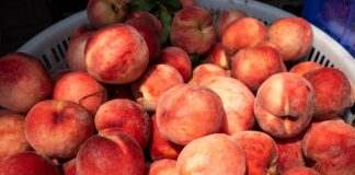 coquetel-de-pessego-refrescante-para-brindar-o-natal