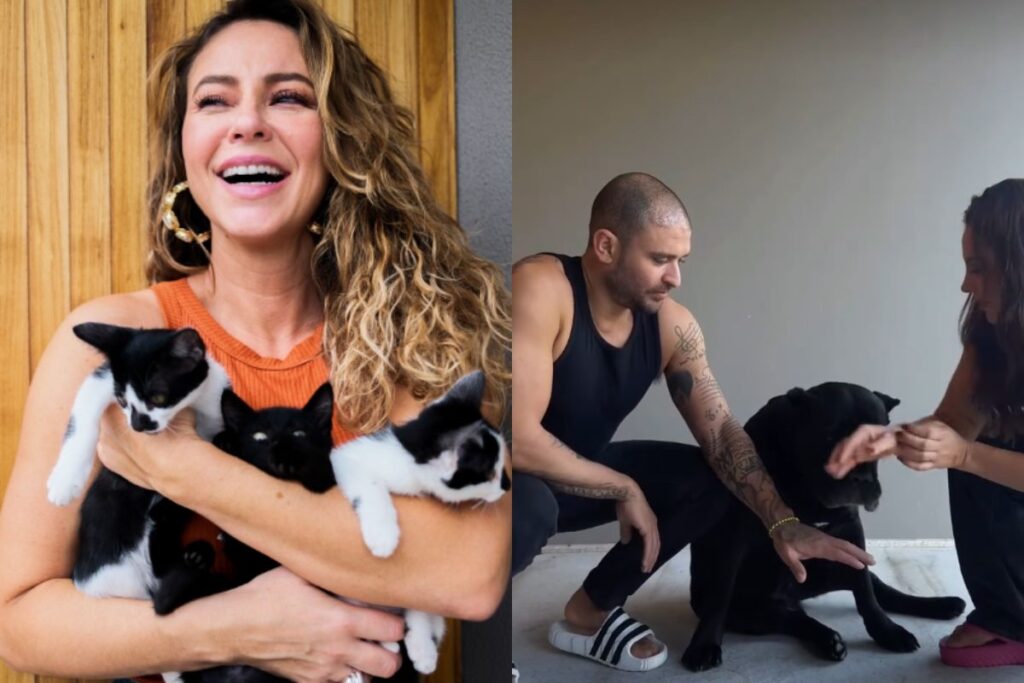 paolla-oliveira-e-diogo-nogueira-adotaram-quase-20-pets-juntos;-veja