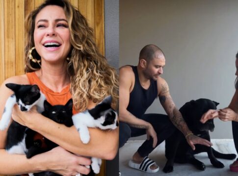 paolla-oliveira-e-diogo-nogueira-adotaram-quase-20-pets-juntos;-veja