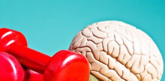 exercicio-de-10-minutos-pode-“acordar”-o-cerebro-antes-de-estudar