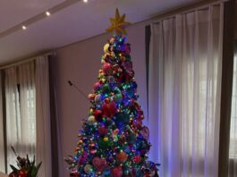 saiba-por-que-a-arvore-e-um-dos-simbolos-mais-importantes-do-natal