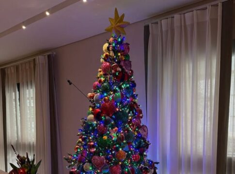 saiba-por-que-a-arvore-e-um-dos-simbolos-mais-importantes-do-natal