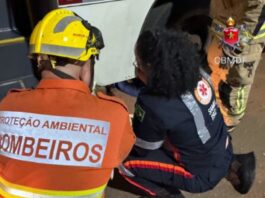mulher-morre-atropelada-em-garagem-de-empresa-de-onibus
