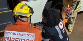 mulher-morre-atropelada-em-garagem-de-empresa-de-onibus