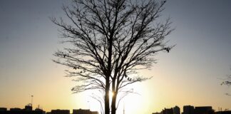 duas-pesquisadoras-da-uerj-participam-do-seleto-grupo-do-ipcc-da-onu