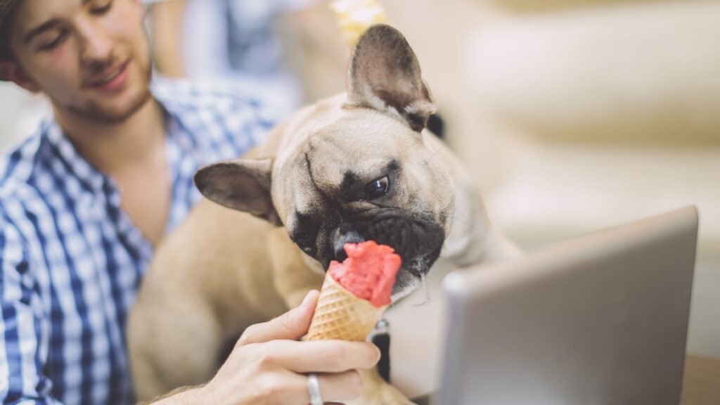 16-racas-de-cachorros-pequenos-para-quem-mora-em-apartamento