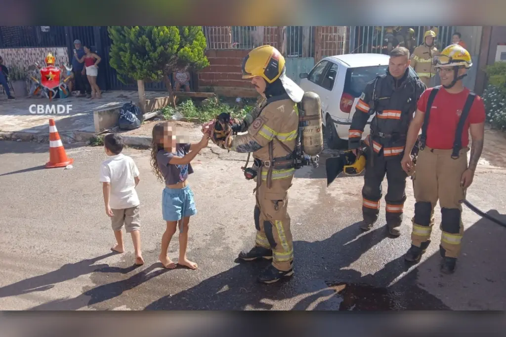 cachorro-e-resgatado-de-incendio-em-casa-na-manha-de-natal