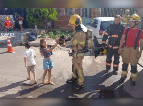 cachorro-e-resgatado-de-incendio-em-casa-na-manha-de-natal