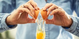 vilao-ou-aliado?-saiba-quais-sao-os-beneficios-do-ovo-para-os-musculos