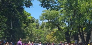 tainara-e-enterrada-sob-aplausos-e-forte-comocao:-“justica”