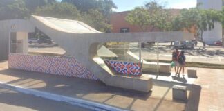 ataque-de-abelhas-deixa-duas-pessoas-feridas-na-asa-sul