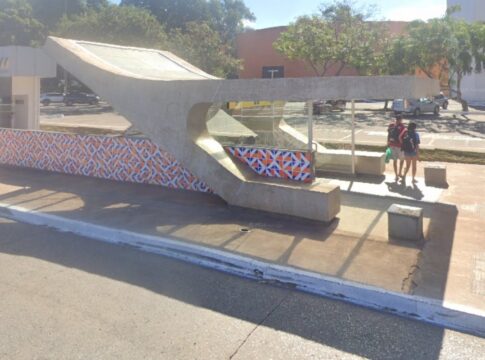 ataque-de-abelhas-deixa-duas-pessoas-feridas-na-asa-sul