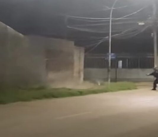 morador-grava-pms-atirando-e-matando-pit-bulls-que-atacaram-crianca