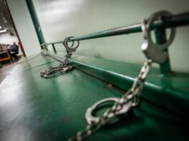 escalada-de-violencia:-no-df,-75%-dos-feminicidas-tinham-antecedentes